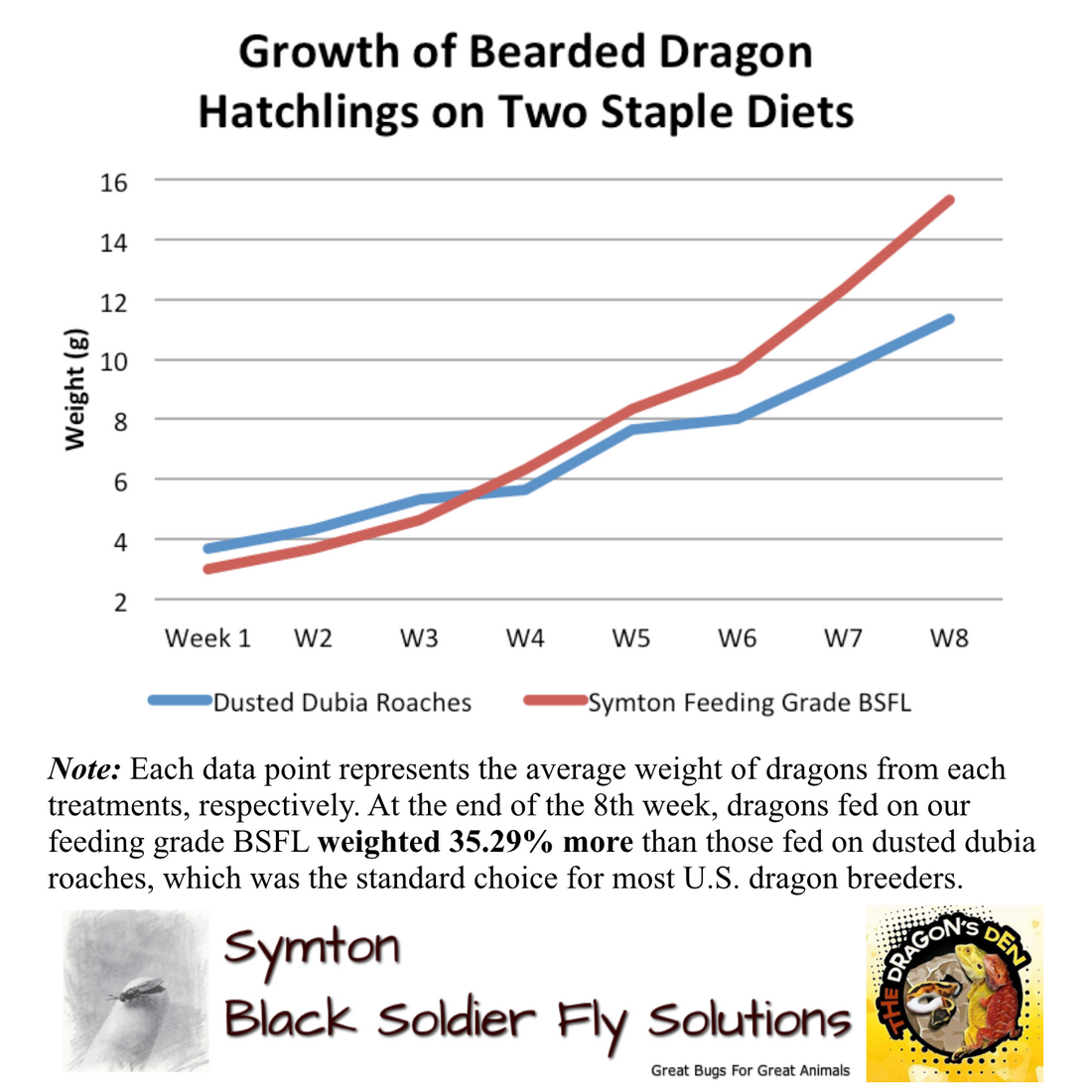 Bearded Dragon Hatchlings Grow Faster When Fed BSFL As Staple Diet
