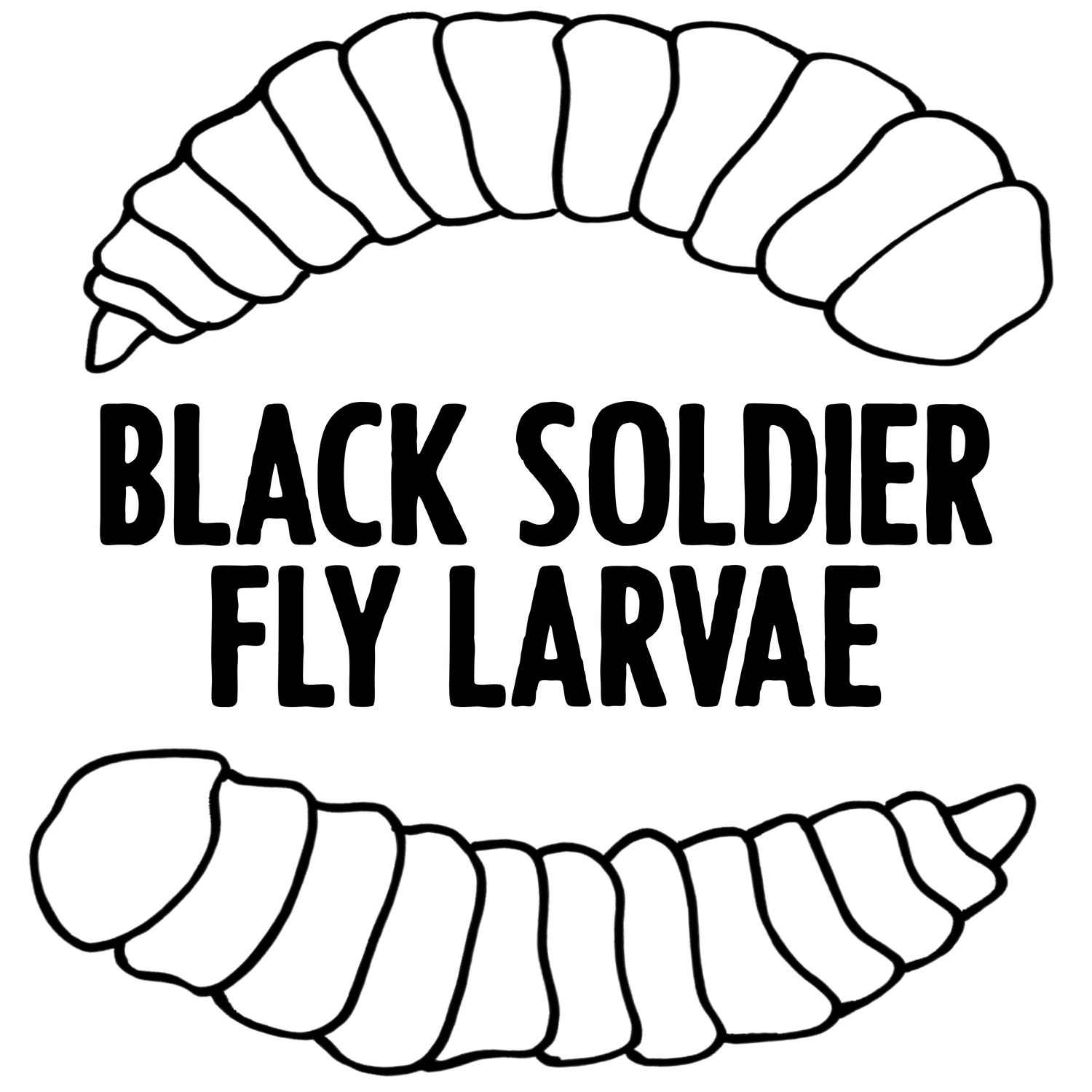 BSF Feeders