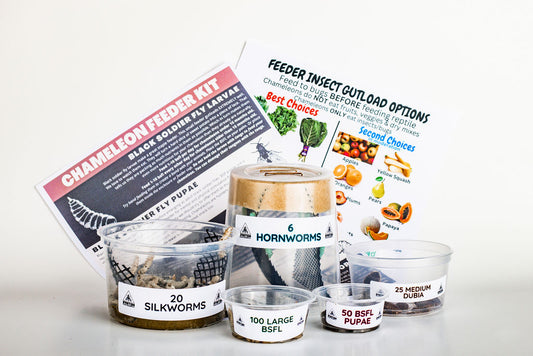 Chameleon Feeder Refill Kit
