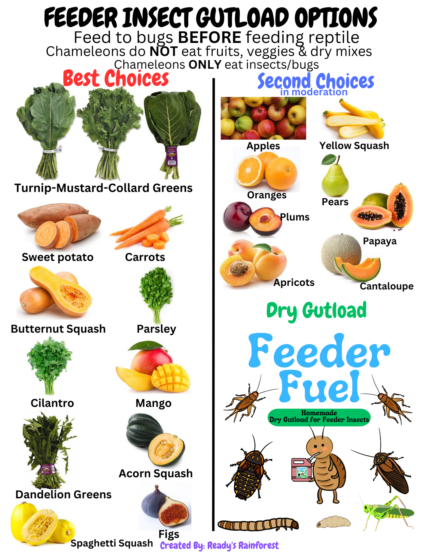 Chameleon Feeder Refill Kit