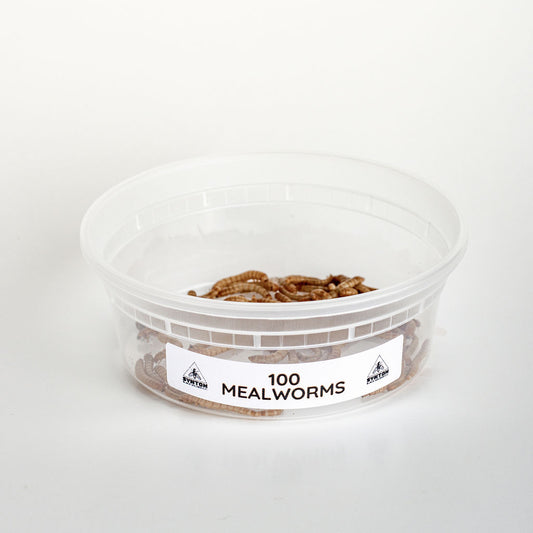 Mealworms (100 Count)