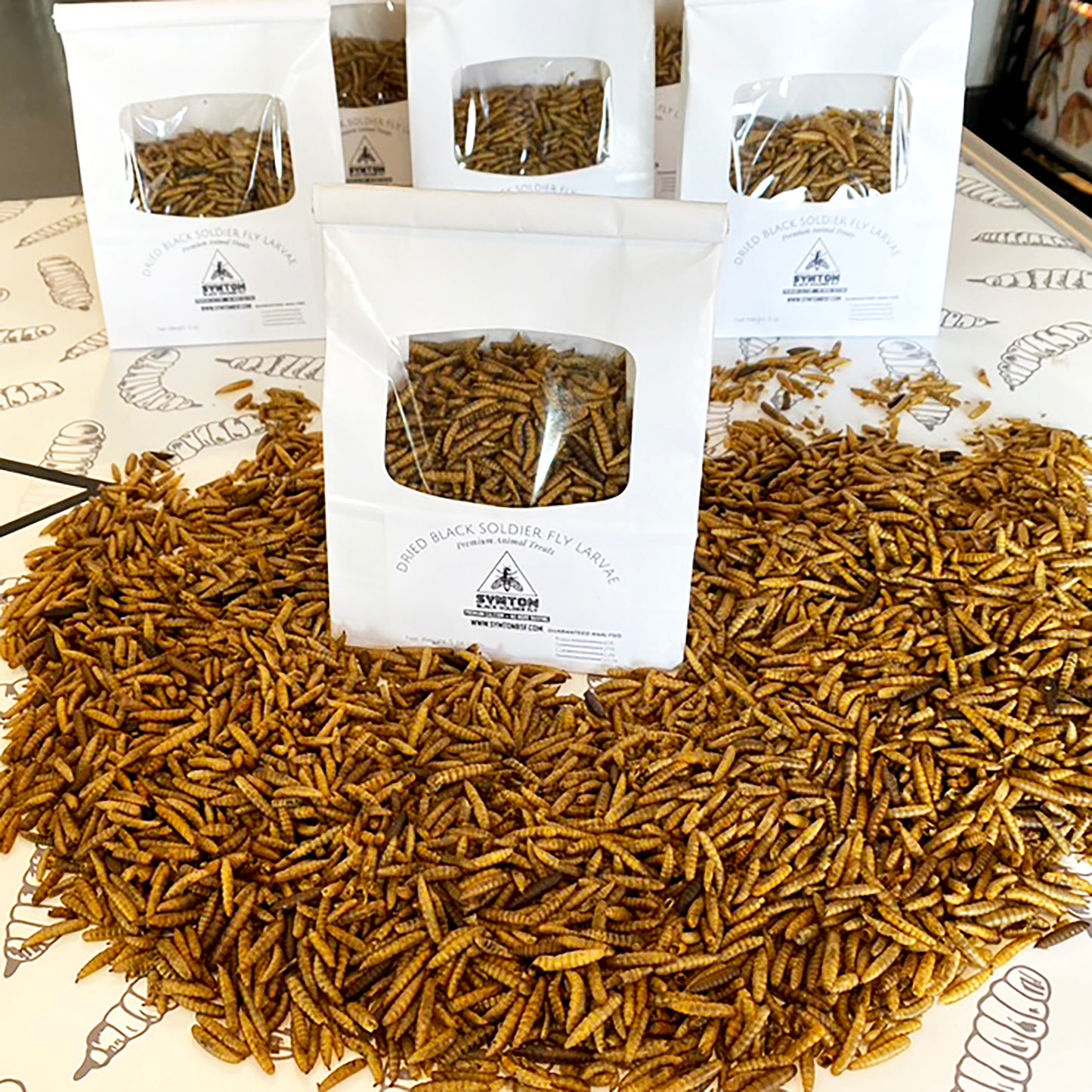 Dried Black Soldier Fly Larvae (5 oz)