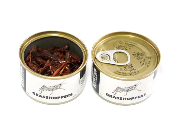 Wholesale Plastic Grasshoppers with Good Pet Nutrition 