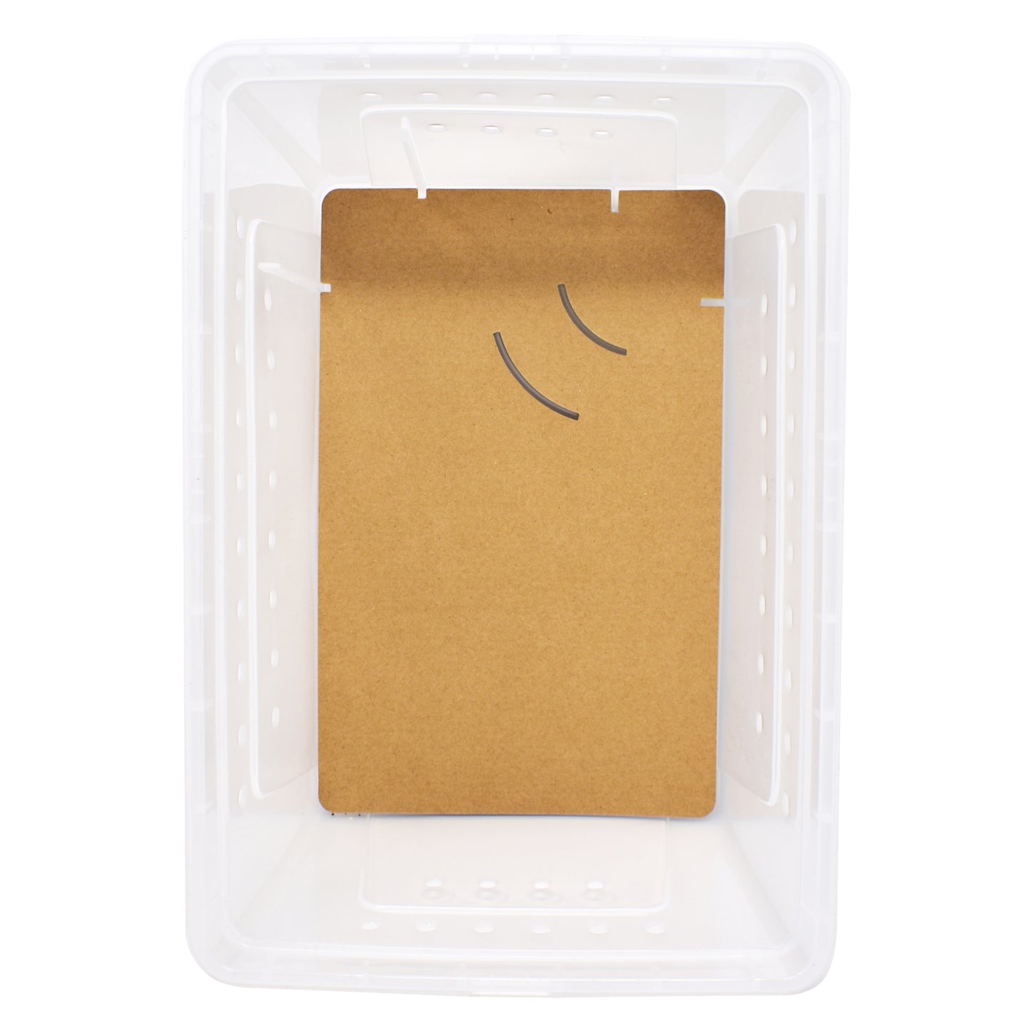 Large paper bedding in large ReptiHome