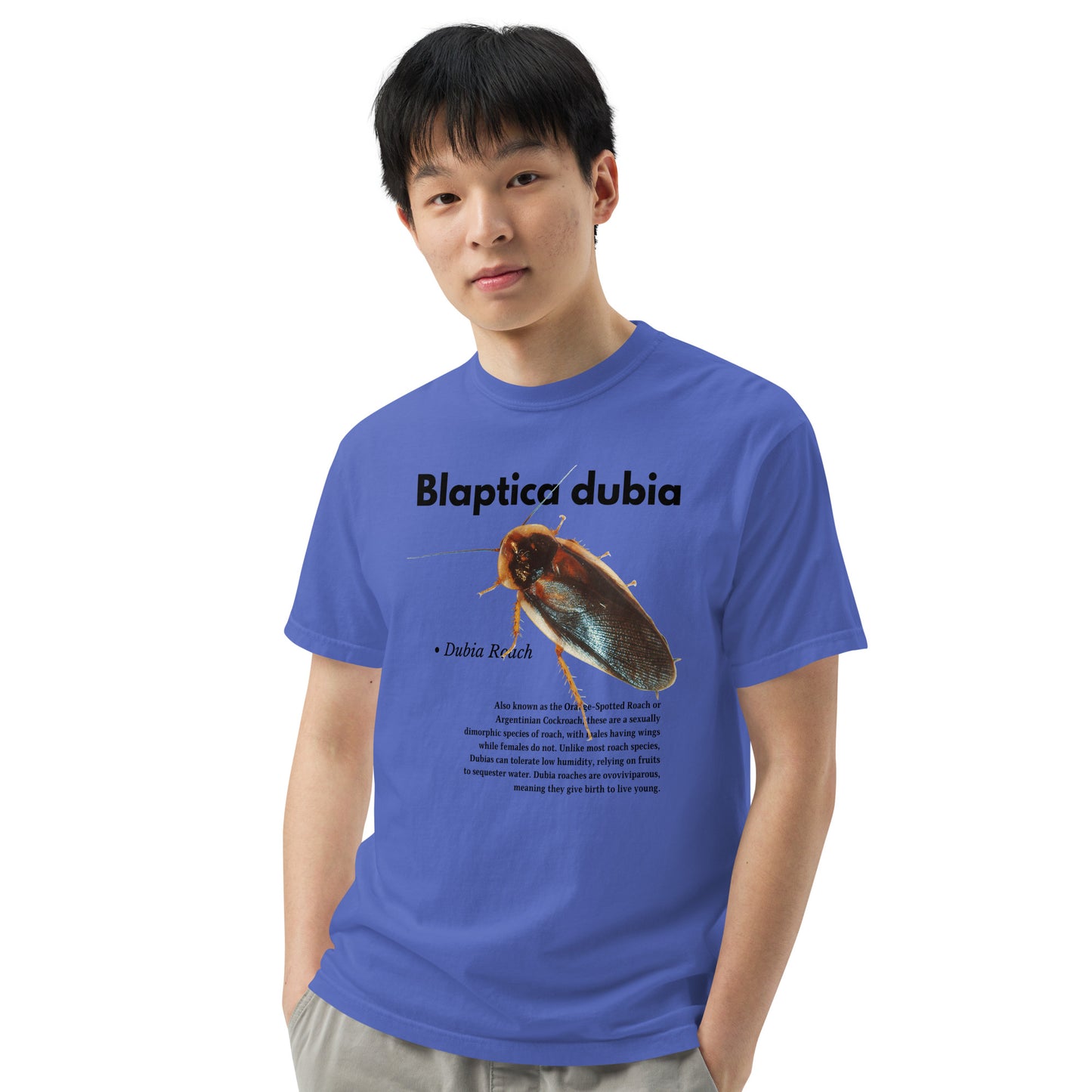 Blaptica dubia Shirt