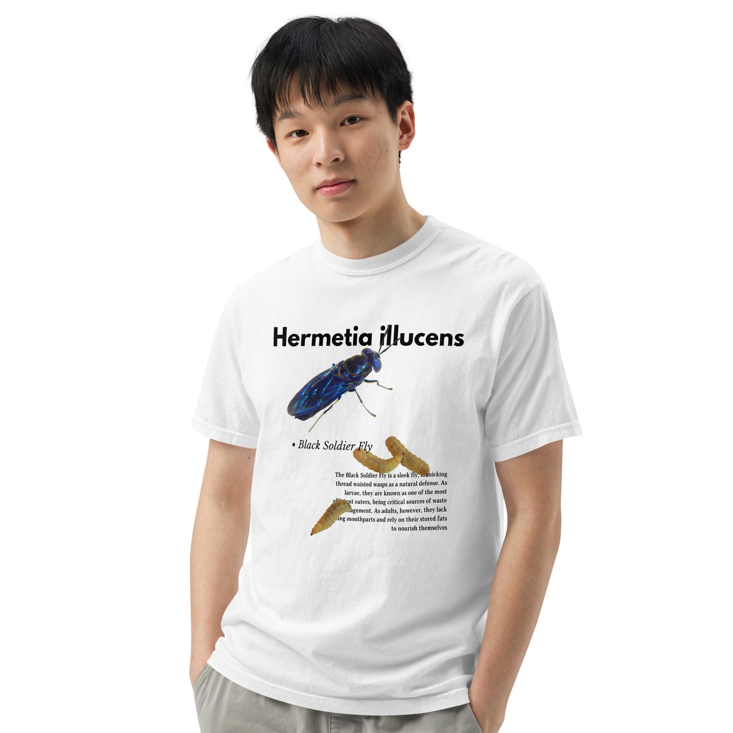 Hermetia illucens Shirt