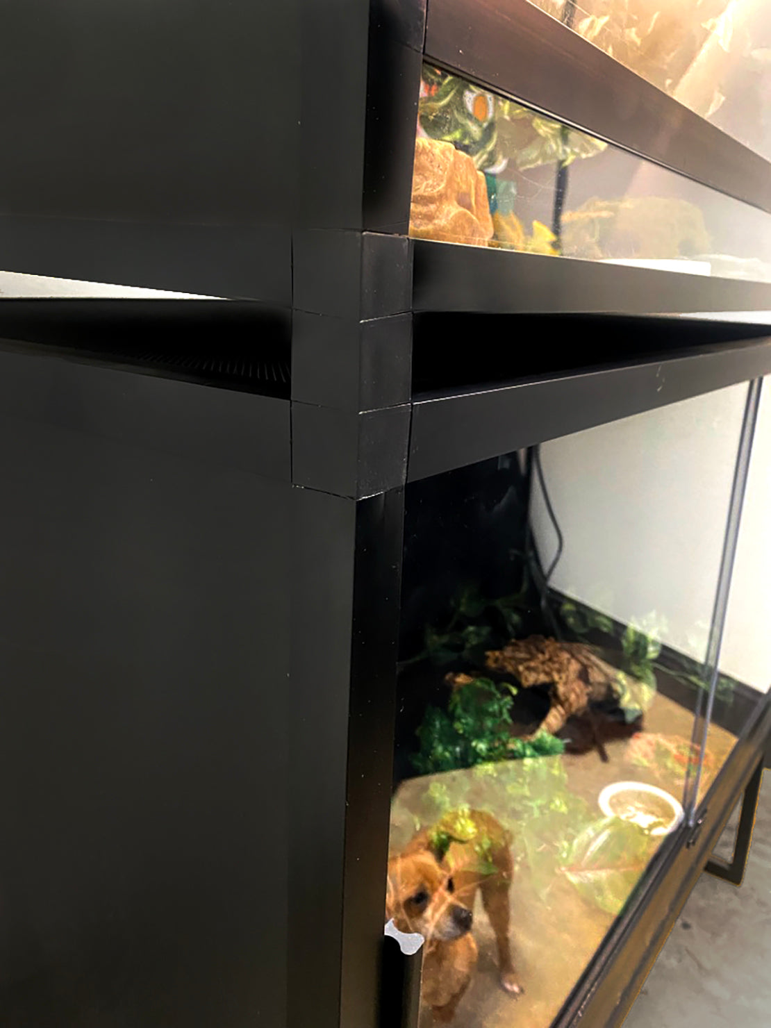 Snap 'N' Stack (4 pack)