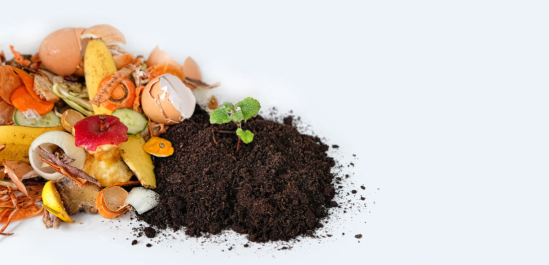 Troubleshooting Compost