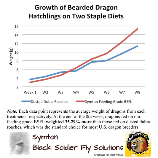 Bearded Dragon Hatchlings Grow Faster When Fed BSFL As Staple Diet