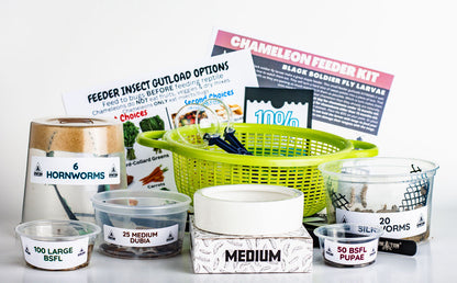 Chameleon Feeder Starter Kit