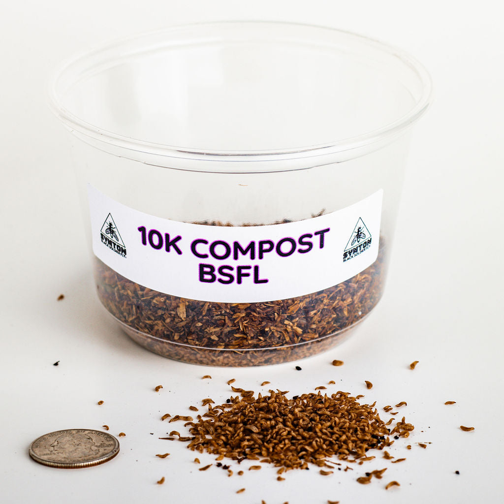 Compost-Grade Black Soldier Fly Larvae – Symton® Black Soldier Fly