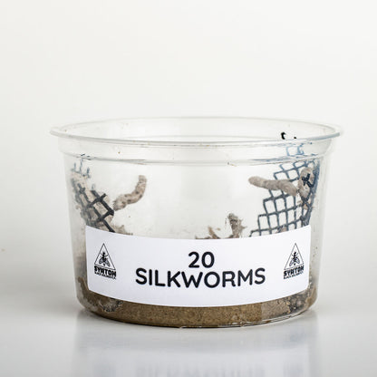 Silkworms (20 count)