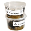 Silkworms (20 count)