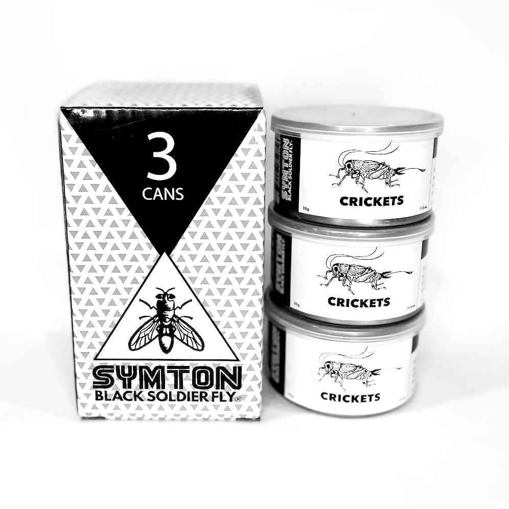 Canned Crickets
