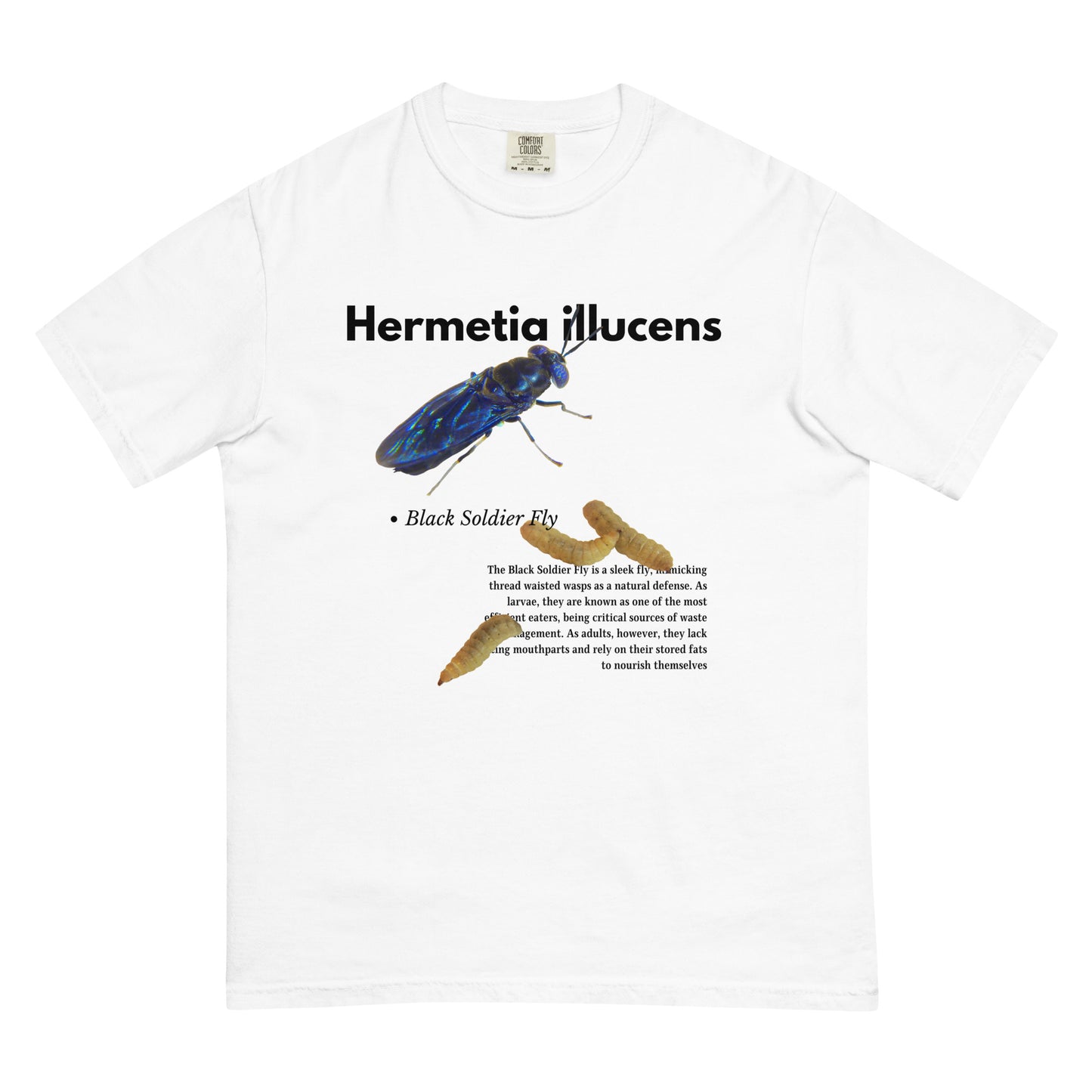 Hermetia illucens Shirt